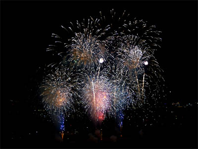 昭和記念公園の花火大会で打ち上げられた花火