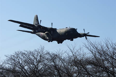 入曽多目的広場の東テニスコートの先から撮影した早朝に飛来した外来機、小松基地所属のC-130H(75-1077)