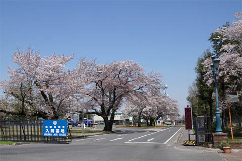 航空自衛隊入間基地の正門と桜
