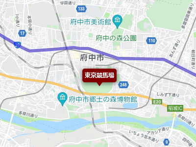国道20号線と東京競馬場（府中）の地図