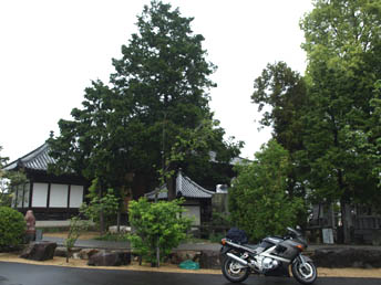 第七十六番 金倉寺