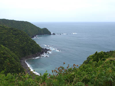 高知県道47号線、横浪黒潮ラインから見た海