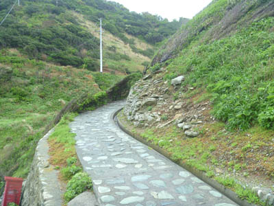 石が敷き詰められた佐田岬の歩道