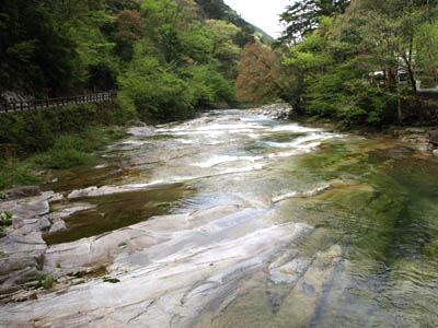 面河渓の石畳のような地面の上を流れる河
