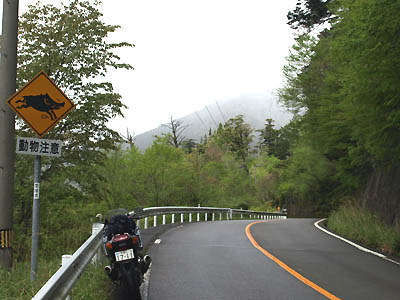 愛媛県道12号線にあるイノシシ（猪）図柄の動物注意の交通標識