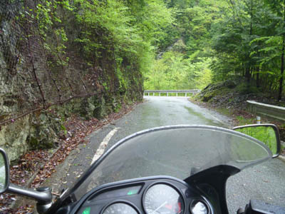 雨で濡れた路面の高知県道40号線