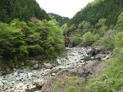 高知県道17号線の美しい緑の渓谷