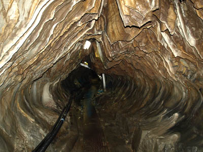 天井が低く狭い井倉洞の洞窟の中の道