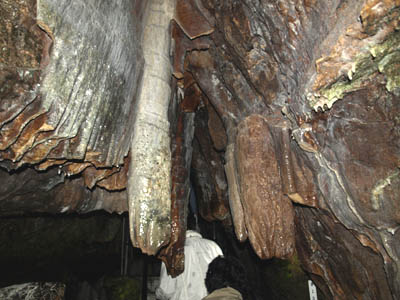 井倉洞の中で伸びる鍾乳石