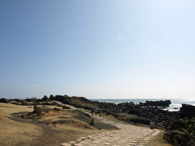 野島崎の周辺を散策することができる遊歩道