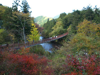 紅葉シーズンの秋川渓谷の名所「十里木バスのつり橋」を渡る観光客