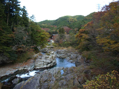 秋川渓谷の十里木バスのつり橋から見た秋の川と木々
