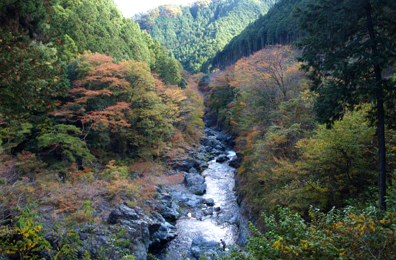 秋川渓谷の紅葉