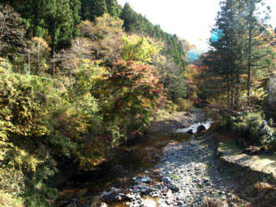 日差しが差し込んでいる南秋川渓谷を流れる川