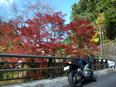 紅葉シーズンの南秋川渓谷ツーリング