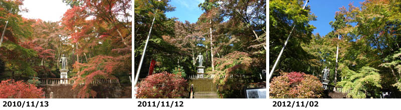 訪れた時期によって色付きが異なる東郷公園の紅葉