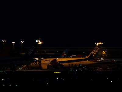 夜の成田空港でライトに照らし出された第１ターミナルのスポットに駐機中の機体