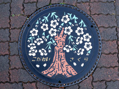 小金井市の玉川上水の桜が描かれたデザインマンホール（カラーマンホール）