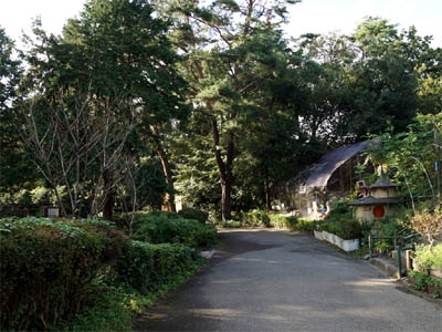 羽村市動物公園の緑が生い茂る歩道