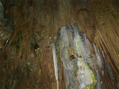 井倉峡（井倉洞）の洞窟の中にある巨大な鍾乳石
