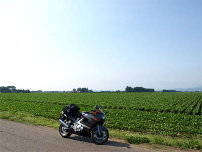 Motorradfahren in einem sehr heißen Sommer in Japan