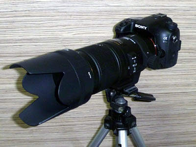 SONY製のデジカメ「α77Ⅱ」に取り付けたSIGMA製の望遠レンズ「APO 70-200mm F2.8 EX DG OS HSM」