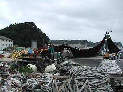 本土最西端「神埼鼻」の周辺にある漁港