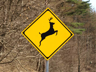 動物注意標識-鹿(しか)