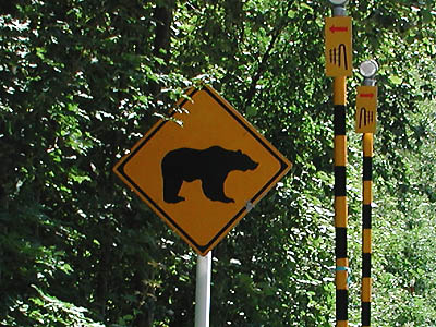動物注意標識-熊(くま)
