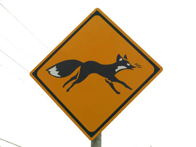 動物注意標識-狐(きつね)
