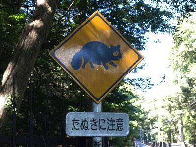 動物注意標識-狸(たぬき)