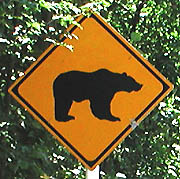 動物注意標識 熊