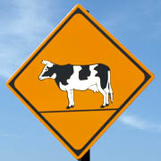 動物注意標識 牛