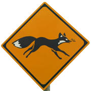 動物注意標識 狐