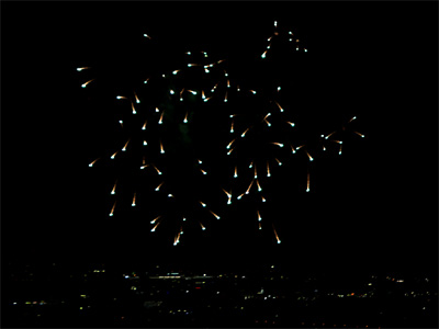 'bee' fireworks