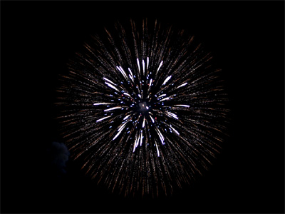 昭和記念公園の花火大会で打ち上げられた単発大玉の花火が開く瞬間
