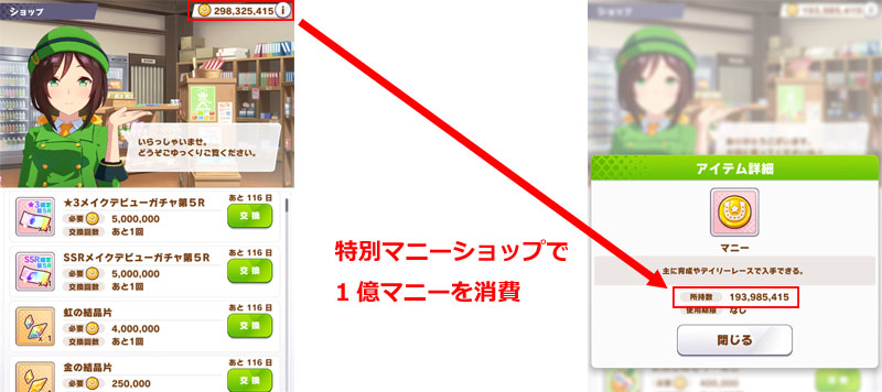 マニー残高3億の内、1億マニーを特別マニーショップでアイテムと交換