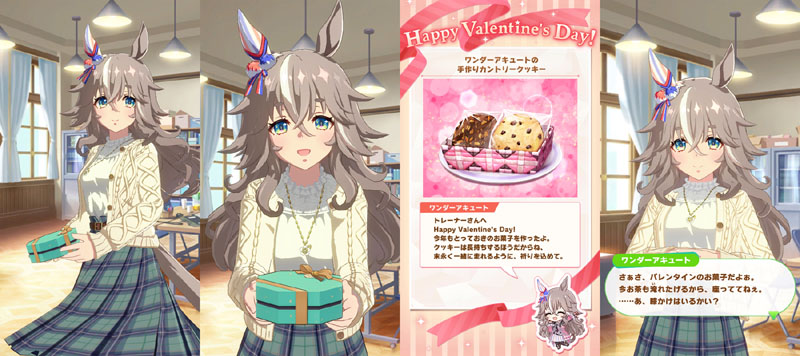 バレンタインデーにワンダーアキュートから貰った特別なチョコレート、手作りカントリークッキー