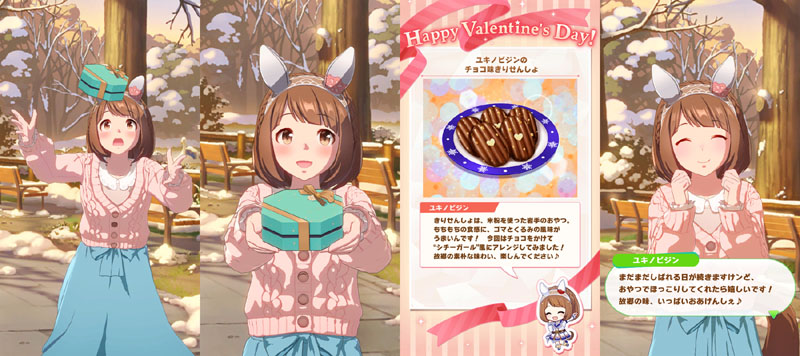 バレンタインデーにユキノビジンから貰った特別なチョコレート、チョコ味きりせんしょ