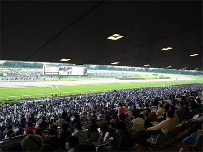 第77回東京優駿（日本ダービー）で満員の観客席（富士ビュースタンド）