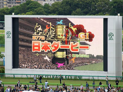 東京競馬場のターフビジョンに表示された第77回日本ダービーの画像
