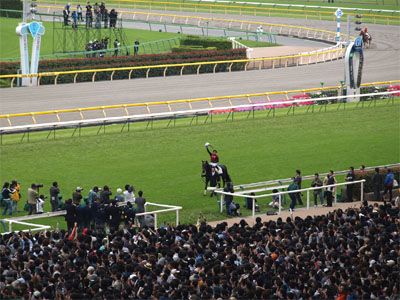 歓声に答えるエイシンフラッシュと内田博幸騎手