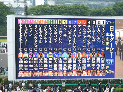 第77回東京優駿（日本ダービー）でダーフビジョンに表示された出馬表