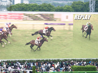 東京競馬場のターフビジョンに映し出されたエイシンフラッシュとローズキングダムがゴールする直前のリプレイ映像