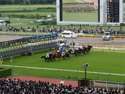 第77回日本ダービーでスタート直後の馬群と観客