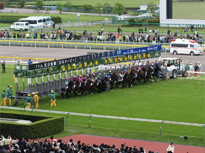 ゲートが開きスタート直後の第77回日本ダービー