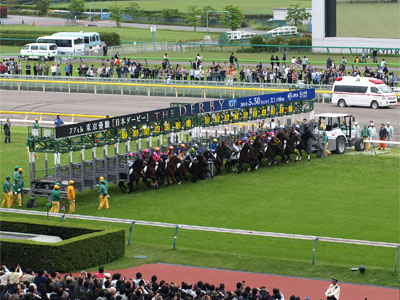 ゲートが開きスタート直後の第77回日本ダービー