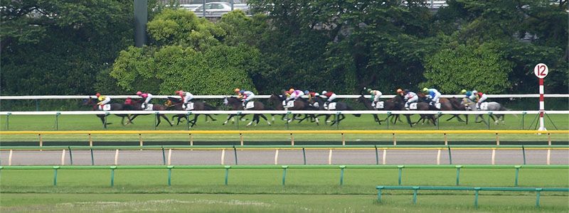 第77回日本ダービーで東京競馬場の向こう正面を疾走する馬群