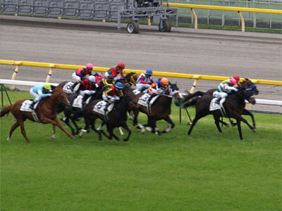 第77回日本ダービーでトゥザグローリーを先頭に東京競馬場の直線を疾走する馬群