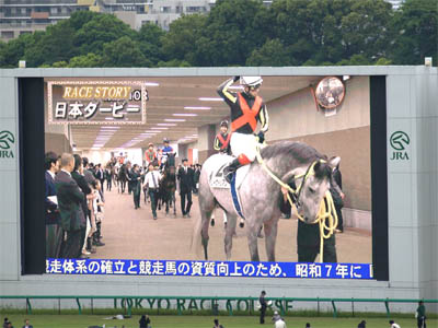 第77回東京優駿（日本ダービー）でダーフビジョンに表示された地下馬道を移動している出走馬の画像